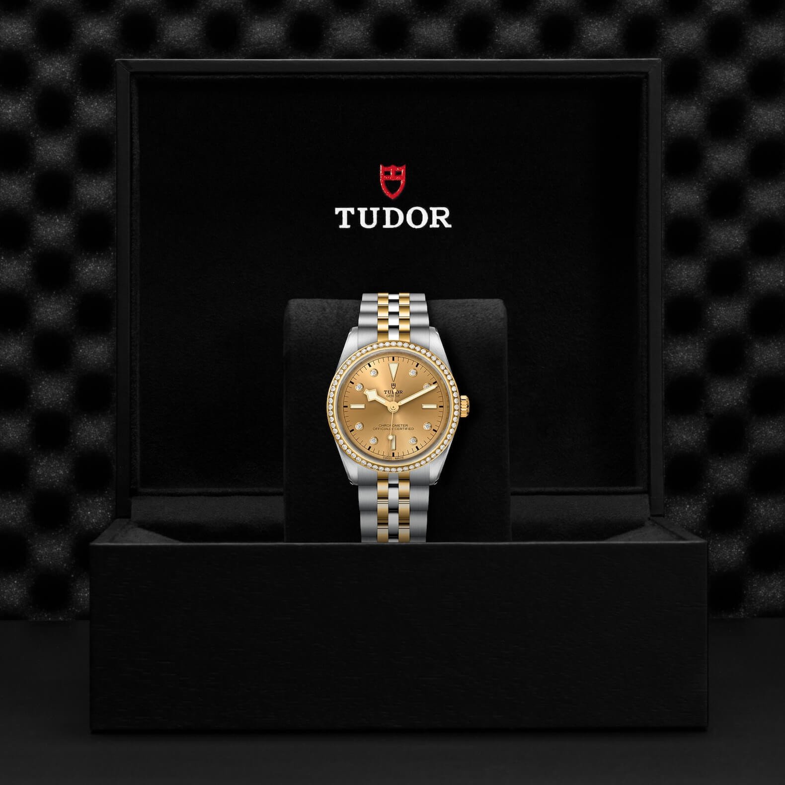 Tudor - Global Watch Company