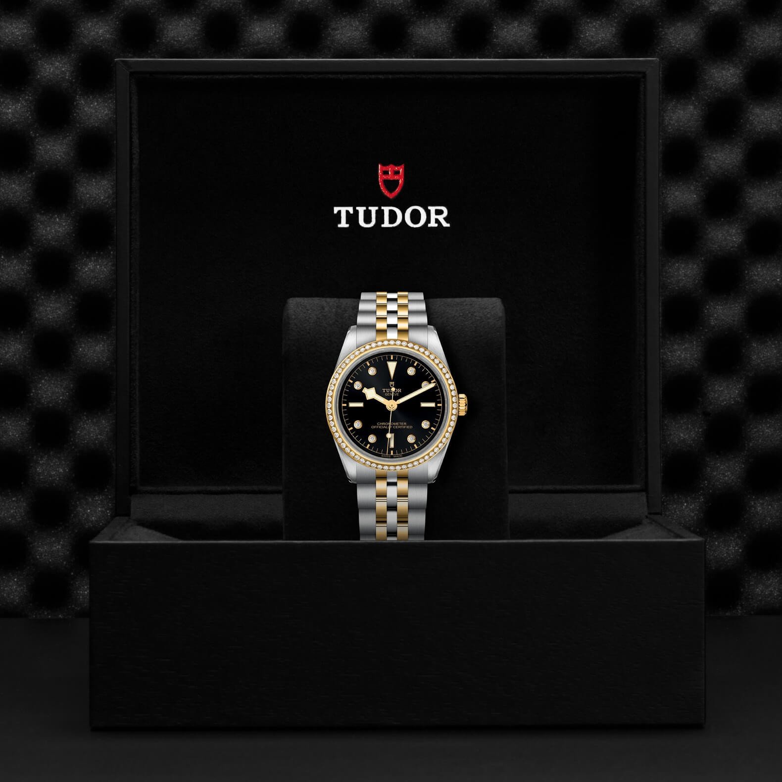 Tudor - Global Watch Company
