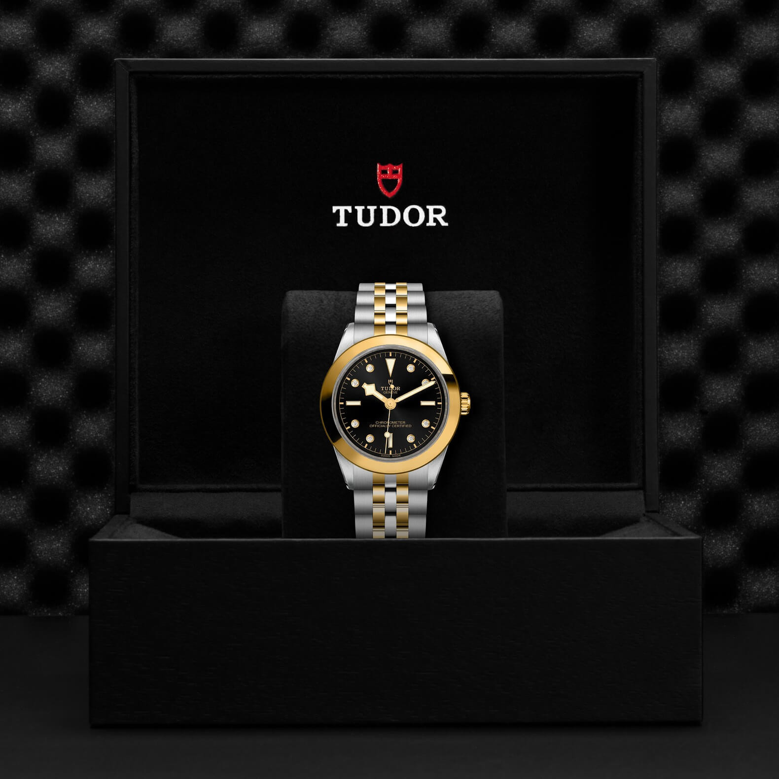Tudor - Global Watch Company