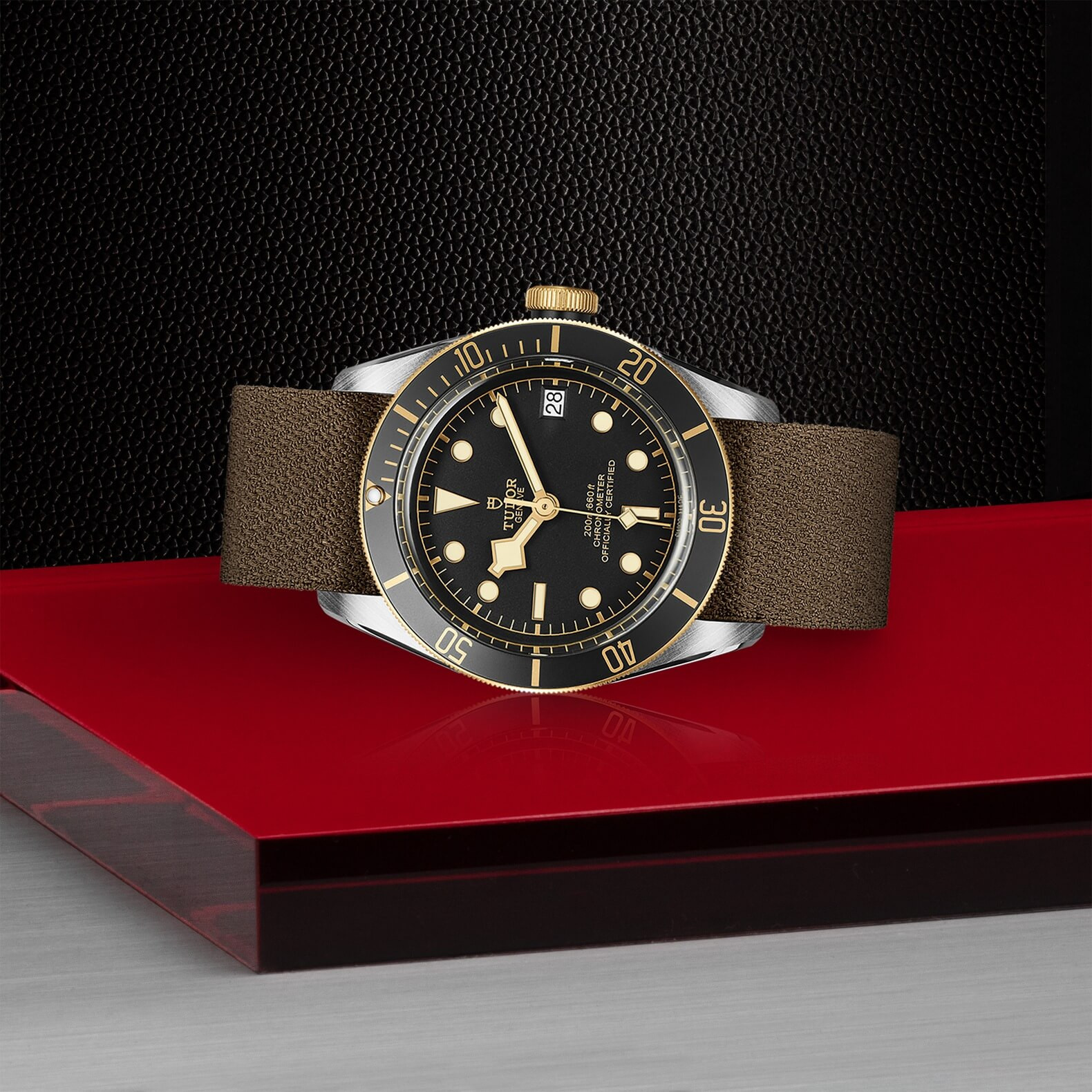 Tudor - Global Watch Company