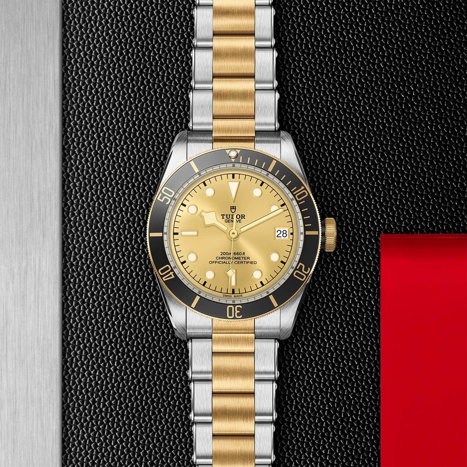 Tudor - Global Watch Company