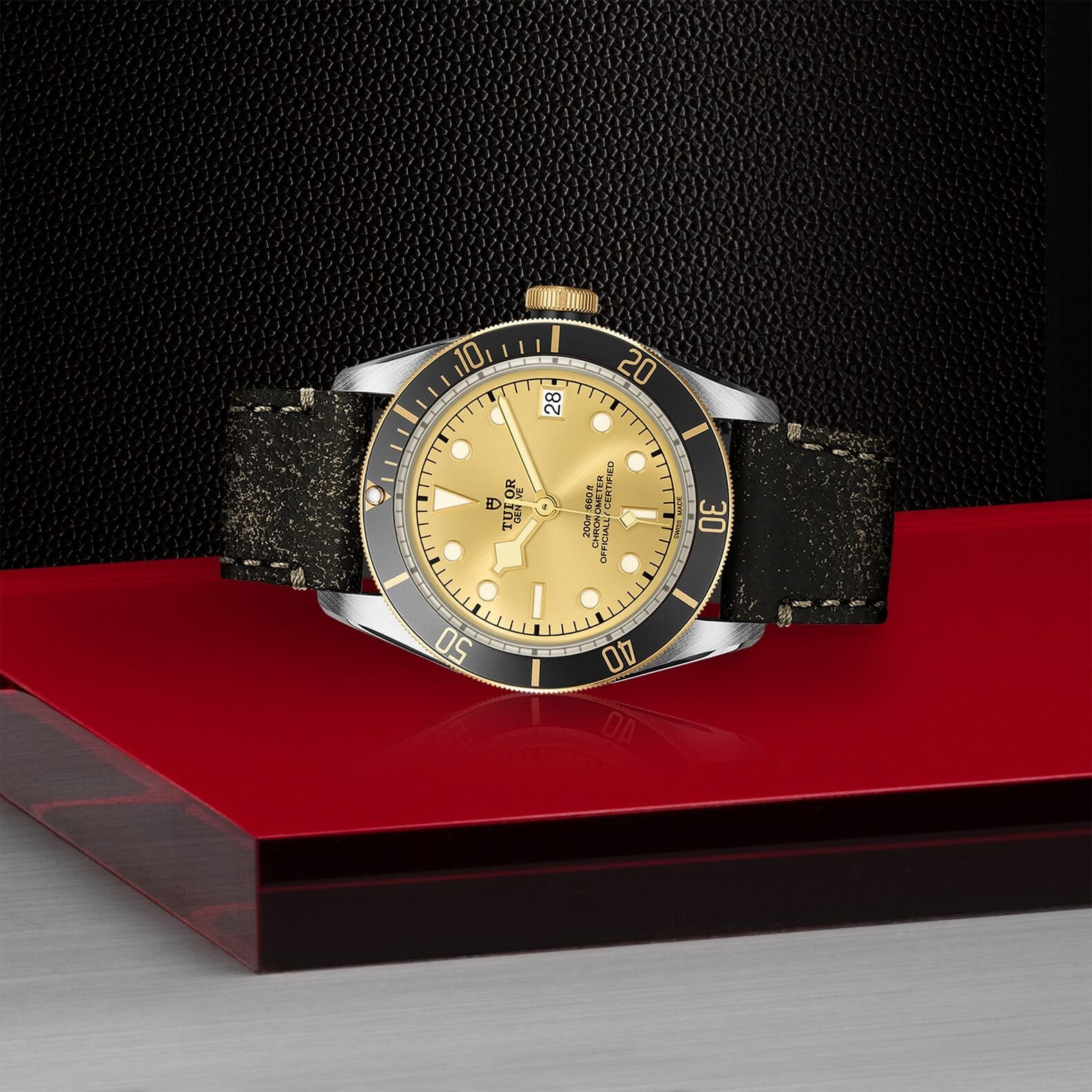 Tudor - Global Watch Company