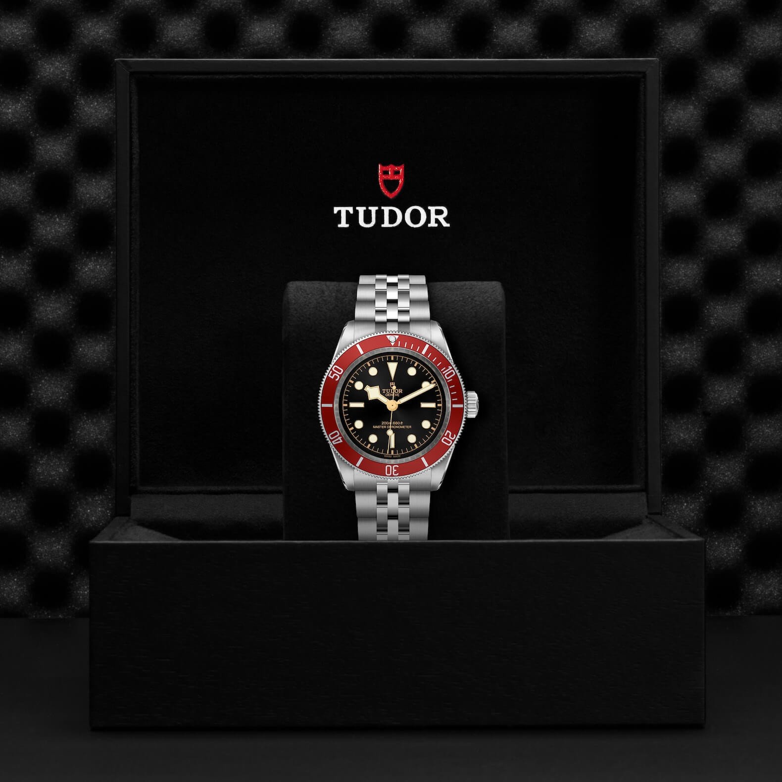 Tudor - Global Watch Company