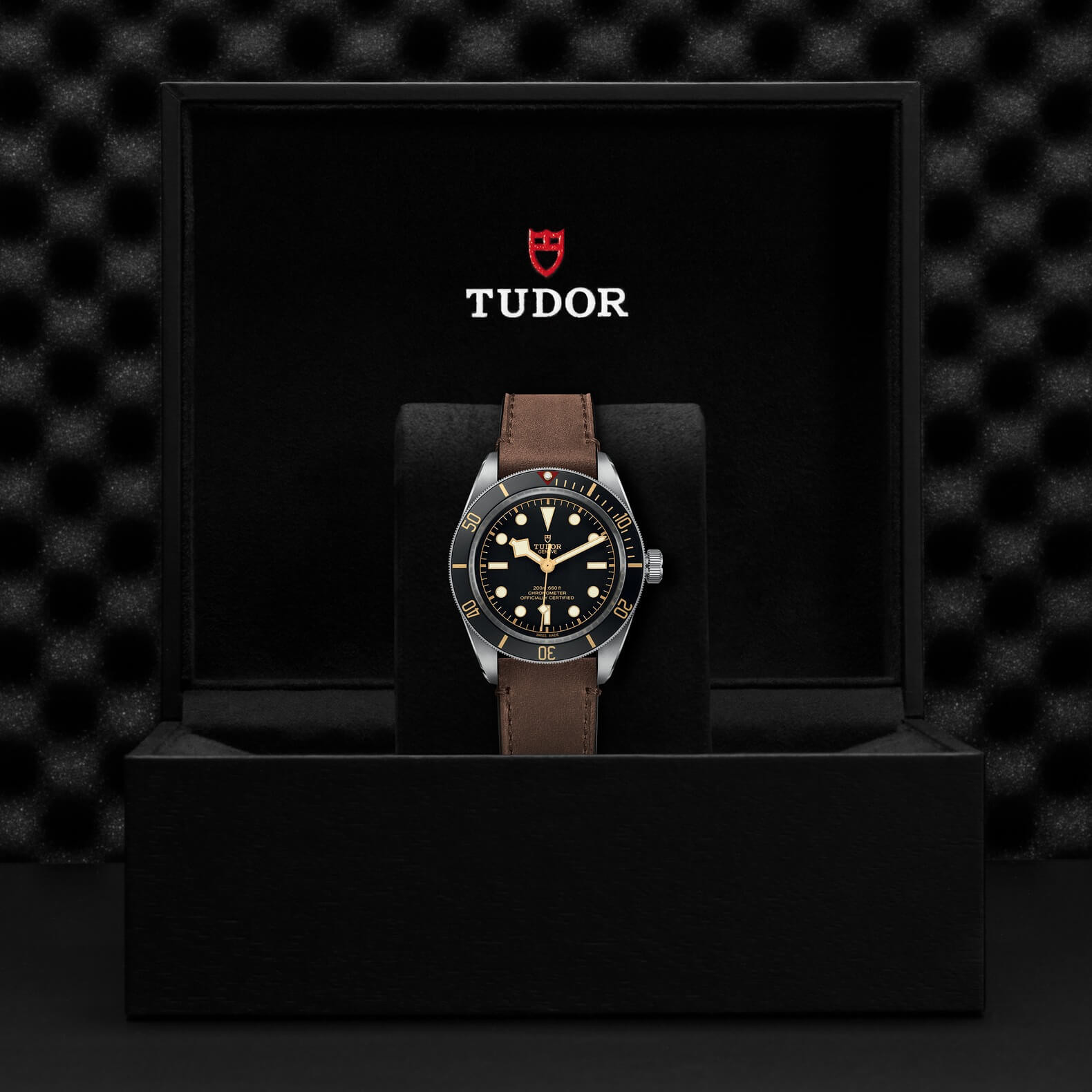 Tudor - Global Watch Company