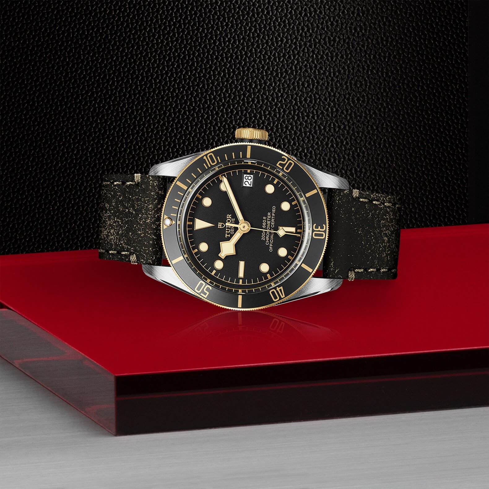 Tudor - Global Watch Company