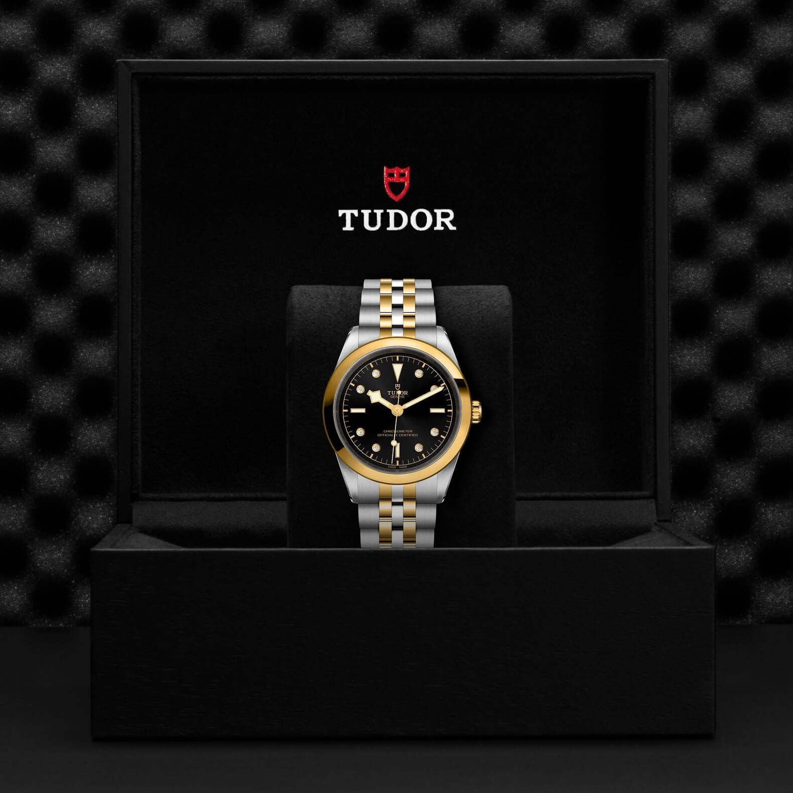 Tudor - Global Watch Company