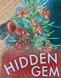 The front of the plant tag of Grevillea Hidden Gem.