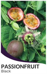 Black Passionfruit 
Passionfruit edulis
