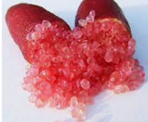 The bright skin and fruit of Finger Lime Red Champagne.