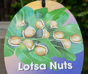 Macadamia Nut “Lotsa Nuts”