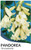 The front of the plant tag for Pandorea pandorana "Snowbells".