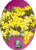 Front of the plant tag of Hibbertia Sun Drops