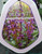 The front of the plant tag of Hardenbergia Regent.