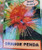 The front of the plant tag for Xanthostemon verdugonianus Orange Penda.
