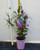 140 mm pot of Happy Duo hardenbergia