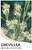 Spindly Grevillea Grevillea endlicheriana