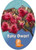Euky Dwarf Flowering Gum Eucalyptus leucoxylon
