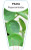 Pilea Peperomioides Chinese Money Plant