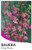 Dog Rose Bauer rubioides NATIVE