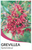 Grevillea Splendour