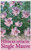 Single Mauve Hibiscus Syriacus