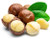 Macadamia Nut “Beaumont”