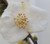 Camellia fraterna