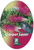 The front of the plant tag for Grevillea Carpet Layer.