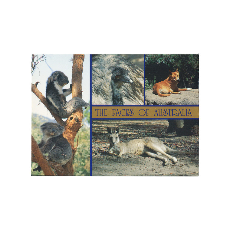 Faces of Australia Postcard