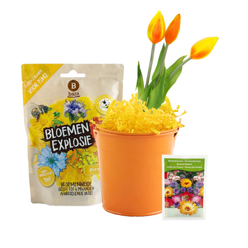 Paas emmer met o.a. tulpen - Relatiegeschenk Pasen