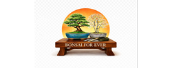 Bonsai For Ever