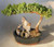 Juniper Bonsai Tree - Large Stone Landscape Scene  (juniper procumbens "nana") 