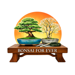 Bonsai For Ever