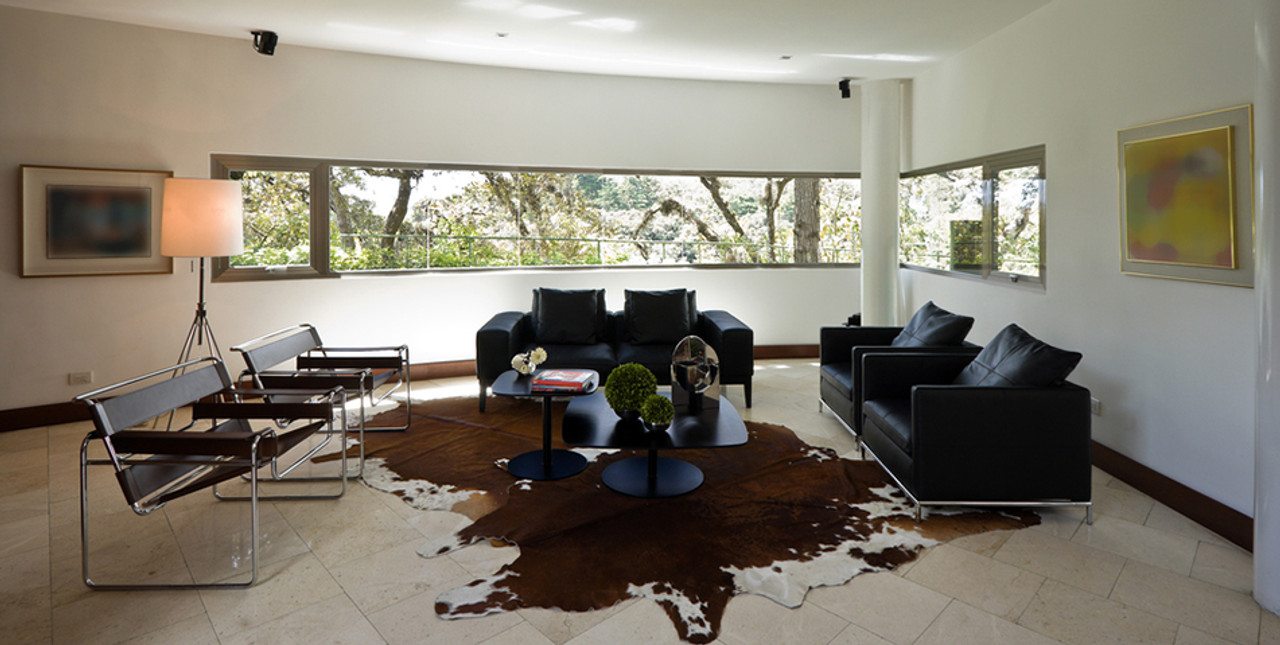 Brown  &  white  cowhides  shown in modern house  with leather  sofas & Courbusier  Chairs