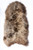 Icelandic Sheepskin Rugs 60x100cm Latte