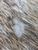 Typical  rub  mark  found  in Craft  Cowhide