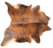 Dark brindle cowhide rug with rich tonal variation and natural pattern