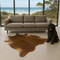 Mocha  Cowhide  in  front  of  modern  sofa  with  shaggy  balck  dog next  to  cowhide