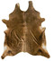 Mocha cowhide rug with deep brown colour and subtle natural variation