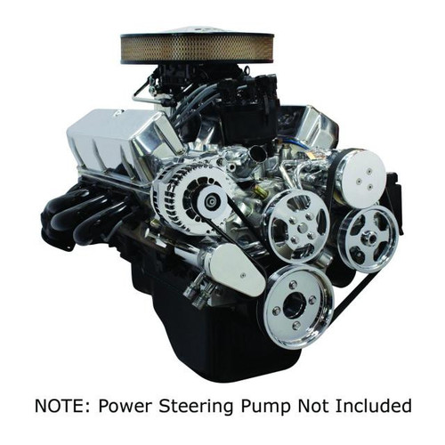 Front Runner® Drive System, Small Block Ford, Bright, Power Steering without Pump