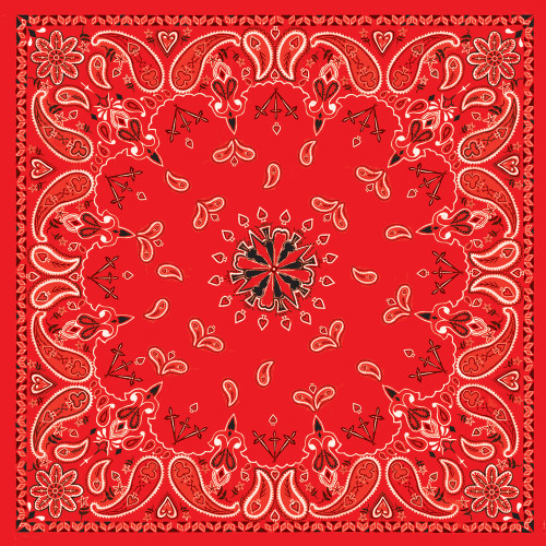 ZAN Bandanna Red Paisley with 100% Cotton, 22 x 22 inches