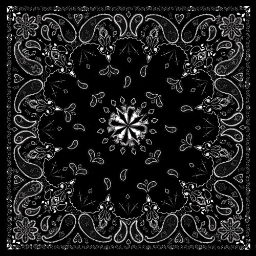ZAN Bandanna Black Paisley - Medium Weight 22 x 22 Inches Cotton Headwear