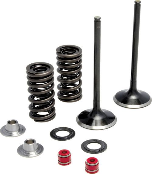 KPMI Intake Valve Spring Kit 30-31200 for Improved Engine Performance and Durability