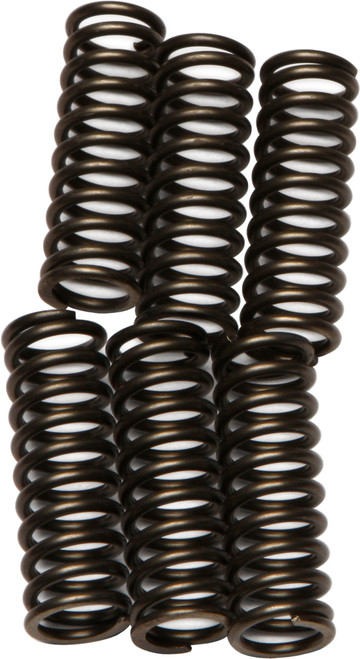 EBC Clutch Springs CSK92 – Enhanced Power Transfer and Durability