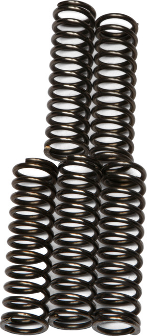 EBC Clutch Springs CSK67 – High-Performance Replacement for Improved Traction