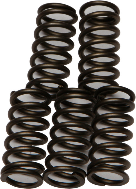 EBC Clutch Springs CSK176 for Enhanced Performance and Durability