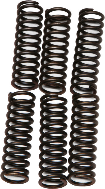 EBC Clutch Springs CSK17 for Enhanced Performance and Durability