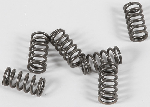 EBC Clutch Springs CSK139 for Enhanced Performance and Durability