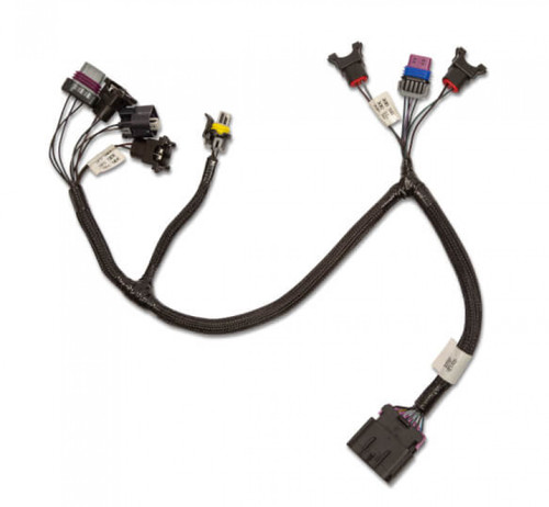 Holley EFI Terminator Stealth 2x4 Primary Throttle Body Sub Harness (HOE-1558-459) Holley EFI Terminator Stealth 2x4 Primary Throttle Body Sub Harness (HOE-1558-459)