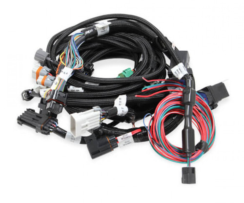 Holley EFI Ford Modular 2V & 4V Main Harness for use with Holley Smart Coils Holley EFI Ford Modular 2V & 4V Main Harness for use with Holley Smart Coils